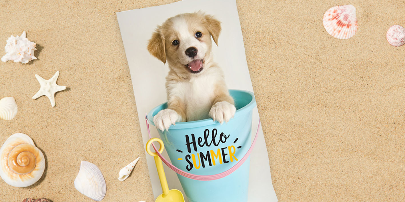 Ręczniki kąpielowy plażowy piesek w wiaderku TNL2140014-R